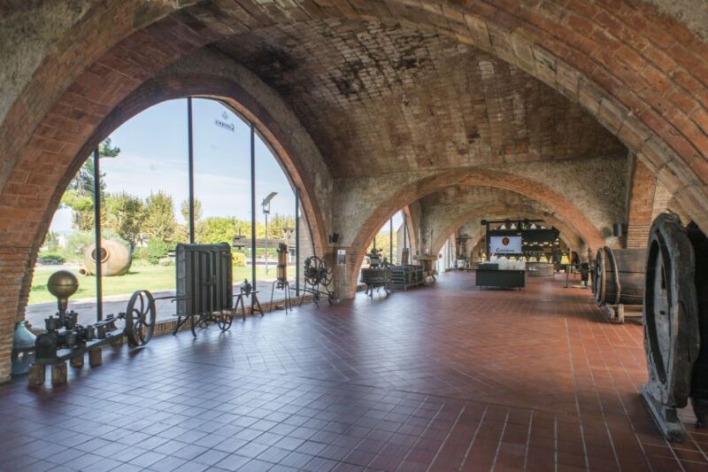 Barcelona: Caves Codorniu Winery Tour Based on Annas Life - Cava and Appetizer Tasting