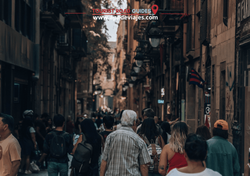 Barcelona: City Highlights Guided Walking Tour - Meeting Point and Transportation