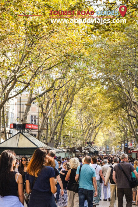 Barcelona: City Highlights Guided Walking Tour - Frequently Asked Questions