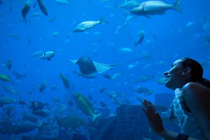 Barcelona City Tour Hop-On Hop-Off and Aquarium - Getting There and Around