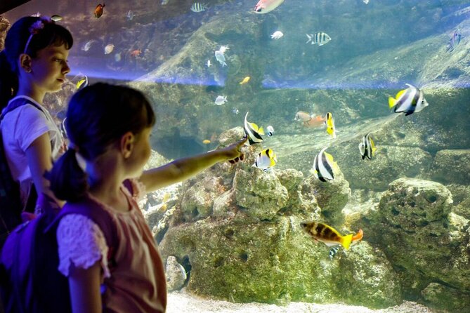 Barcelona City Tour Hop-On Hop-Off and Aquarium - Traveler Feedback and Ratings