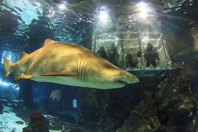 Barcelona City Tour Hop-On Hop-Off and Aquarium - Recap
