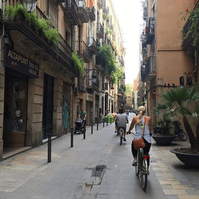 Barcelona: Customized Bike Tour of Cultural Highlights - Tour Experience and Features