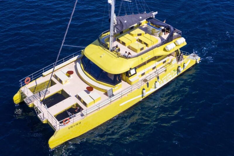 Barcelona: Daytime or Sunset Catamaran Cruise With Music - Key Points