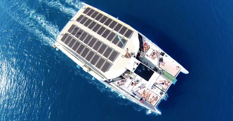 Barcelona: Daytime or Sunset Catamaran Cruise With Music - Key Points