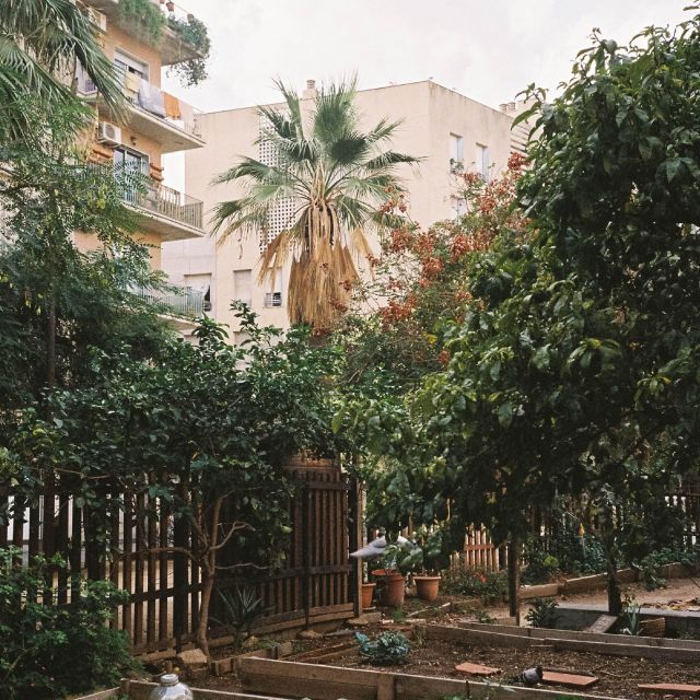 Barcelona EcoViva Tour - Lunch Included - Impact and Sustainability