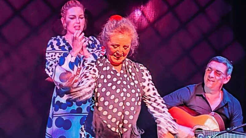 Barcelona: Exclusive Flamenco Show at El Paraigua With Drink - El Paraiguas History