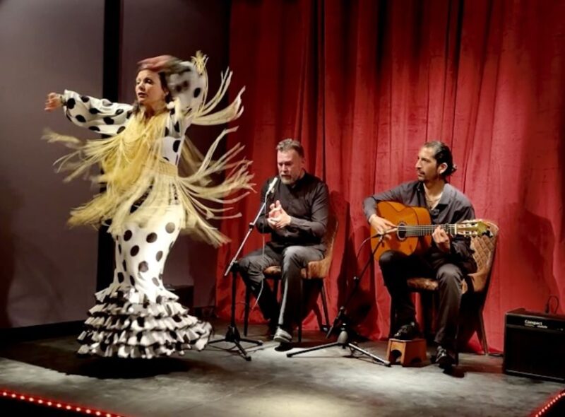 Barcelona: Flamenco Premium Show and Tour Guitar Museum - Guided Tour of Guitar Museum