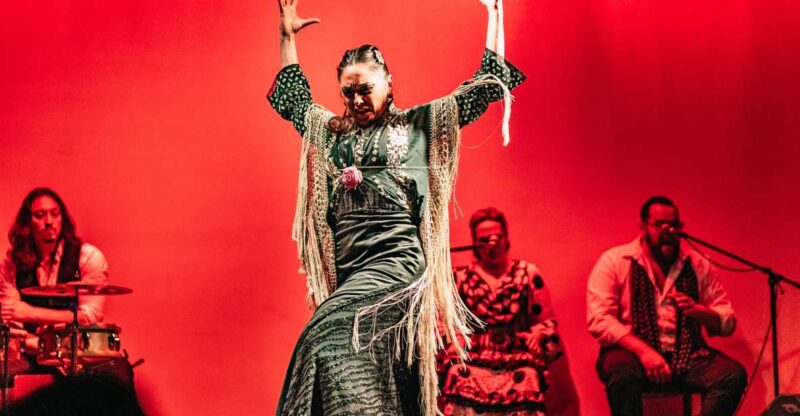 Barcelona: Flamenco Show at City Hall Theater - Authentic Spanish Art Form