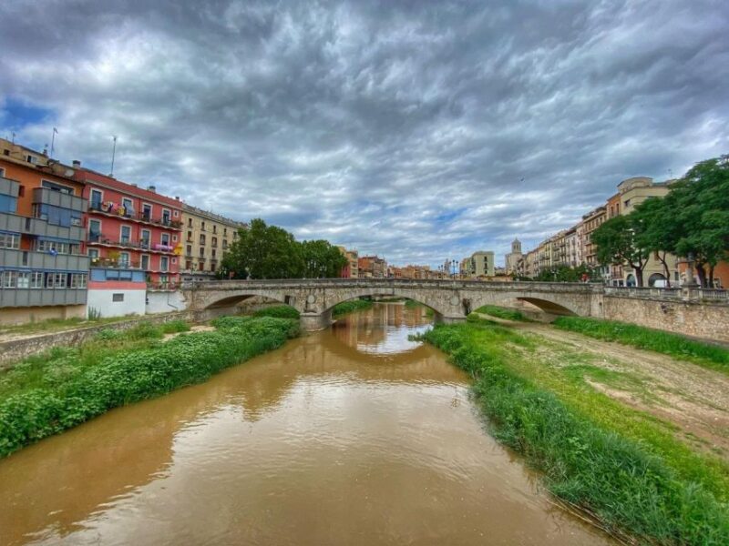 Barcelona: Girona Province Day Trip With Dali Museum Entry - Key Points