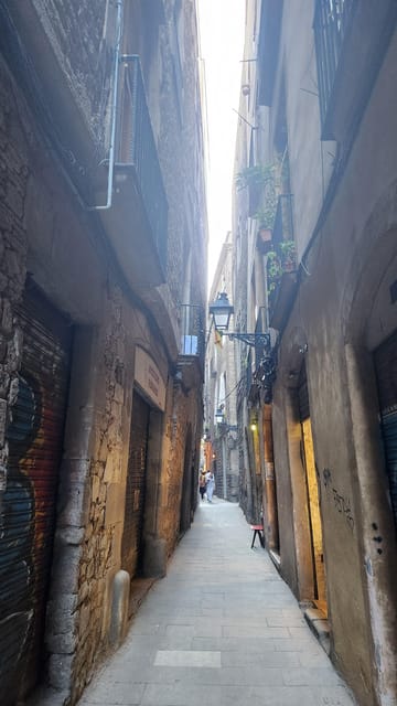 Barcelona: Gothic Quarter Walking Tour in Dutch - Key Points