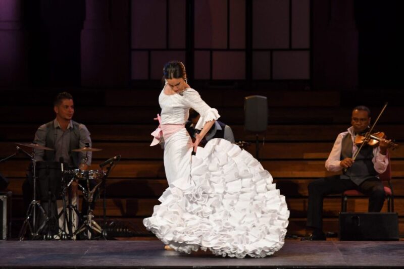 Barcelona: Gran Gala Flamenco Show Entry Ticket - Performance Description