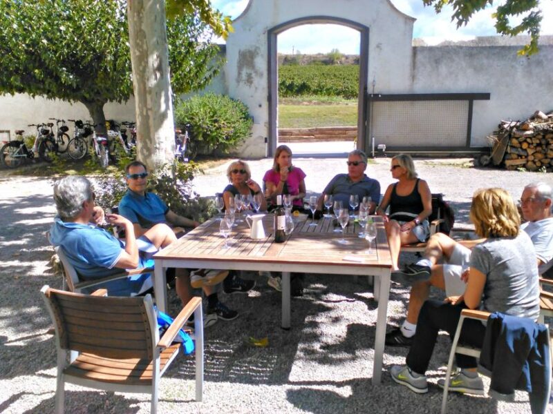 Barcelona: Guided Half-Day Wine and Electric Bike Tour - Tour Highlights