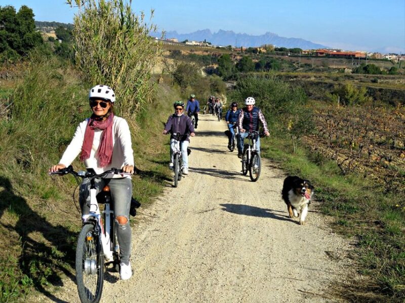 Barcelona: Guided Half-Day Wine and Electric Bike Tour - Inclusions