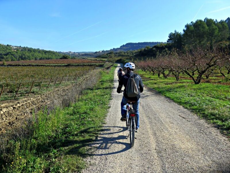 Barcelona: Guided Half-Day Wine and Electric Bike Tour - Meeting Point