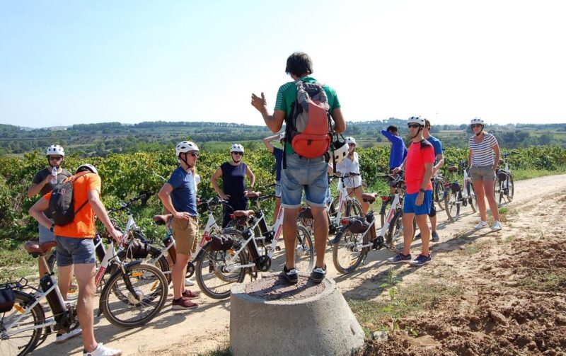 Barcelona: Guided Half-Day Wine and Electric Bike Tour - Arriving by Train