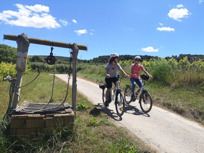 Barcelona: Guided Half-Day Wine and Electric Bike Tour - Tour Suitability