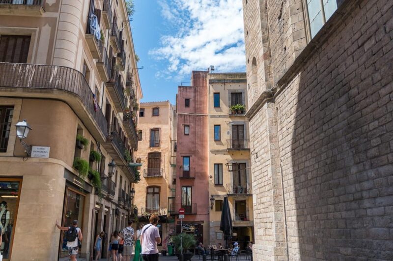 Barcelona Guided Tour in French - Key Points