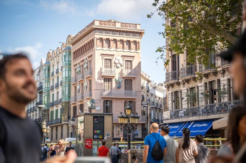Barcelona Guided Tour in French - Accessibility and Support