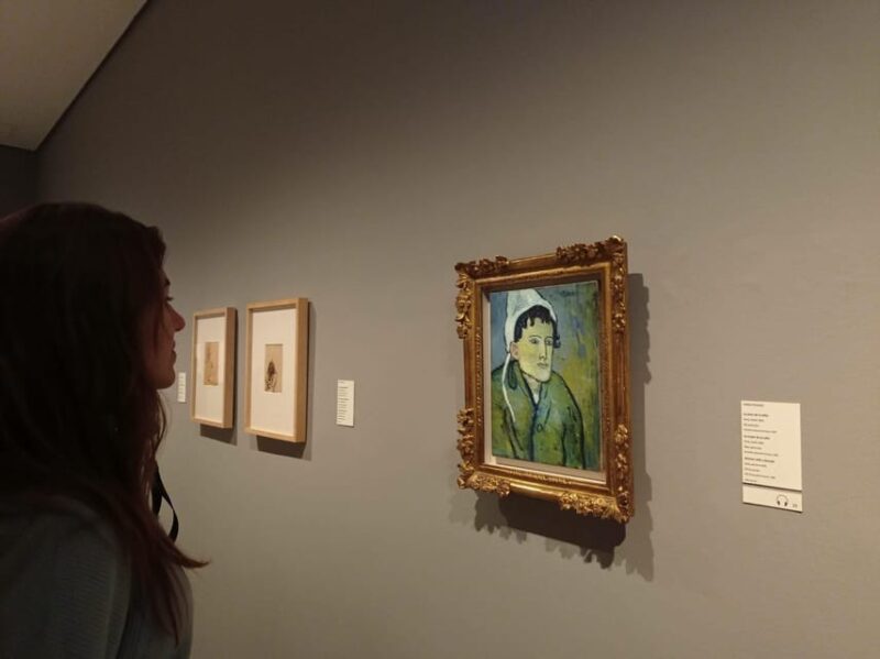 Barcelona: Guided Tour of the Picasso Museum With Tickets - Accessibility and Amenities