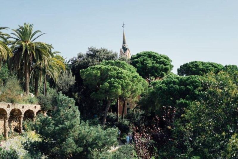 Barcelona: Half-Day Private Tour With Driver - Gothic Quarter Exploration