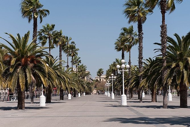 Barcelona Half-Day Sightseeing Private Tour - Iconic Attractions