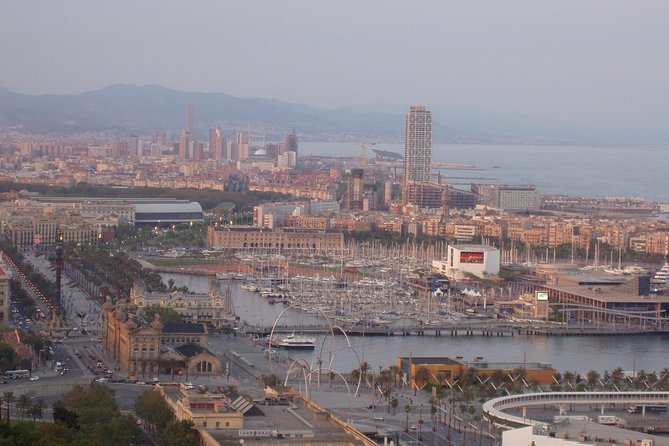 Barcelona Half-day Tour With Local Driver-guide - Inclusions and Pricing