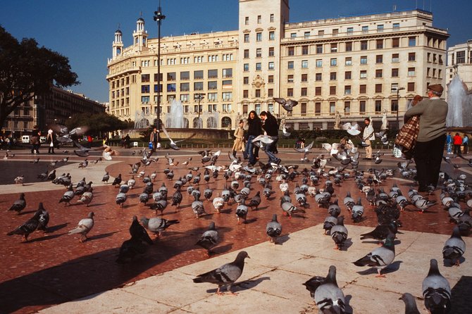 Barcelona Highlights Self Guided Scavenger Hunt and Walking Tour - Scavenger Hunt and Puzzle Challenges