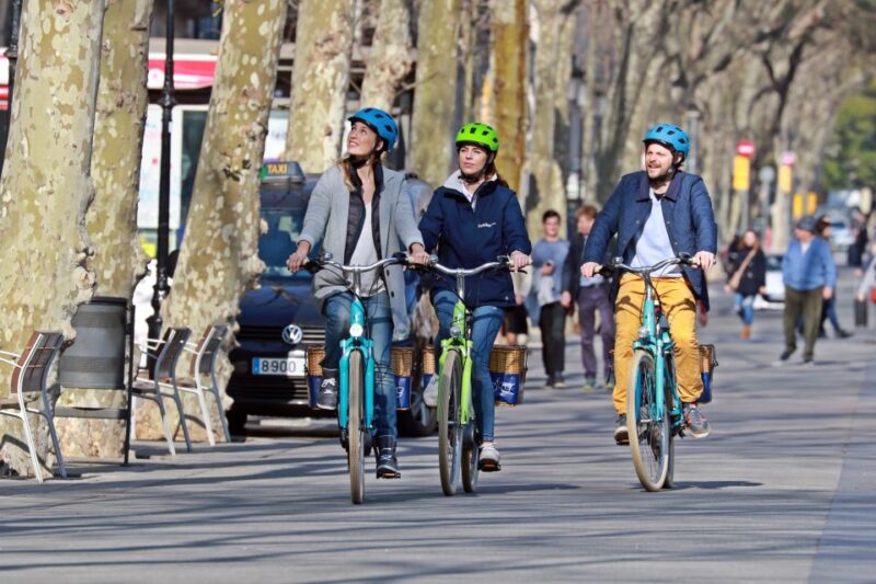 Barcelona: Montjuic Hill E-Bike Tour - Transportation and Value for Money