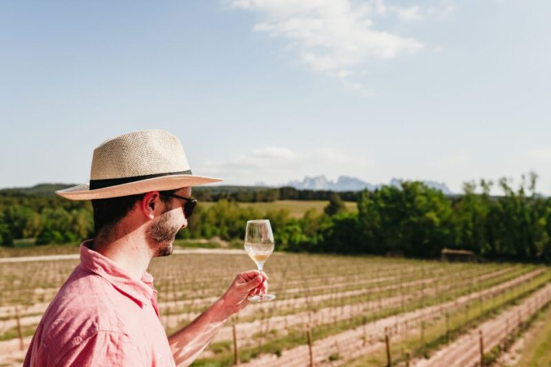 Barcelona: Montserrat Tour With Optional Lunch and Winery - Tapas or Lunch at Winery