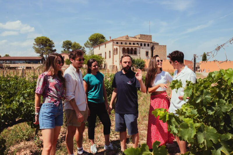 Barcelona: Montserrat With Winery, Lunch, and Train Options - Tour Inclusions and Important Information