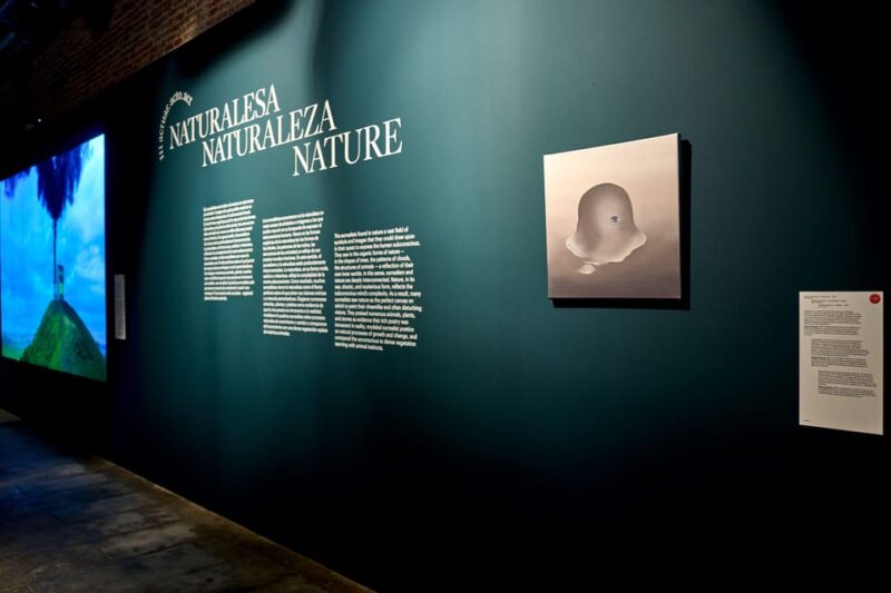 Barcelona: Museum NOU / SUR PLAY Exhibition Ticket - Exhibition Highlights