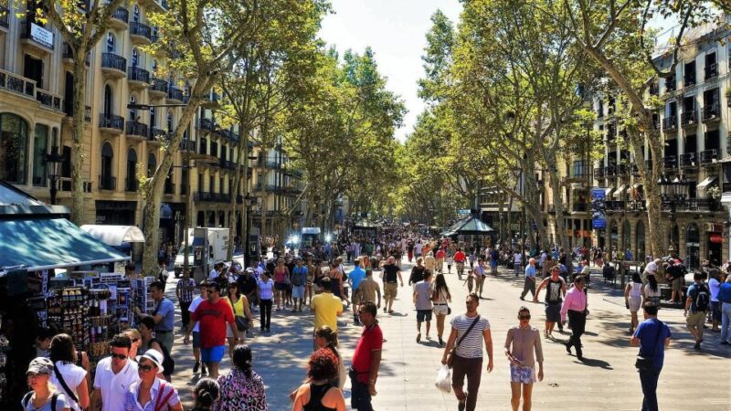 Barcelona: Old Town and Gothic Quarter Walking Tour - Customer Reviews and Ratings