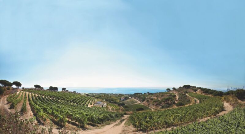 Barcelona: Paella Cooking Class and Alella Winery Tour - Key Points