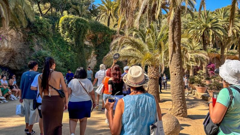 Barcelona: Park Güell Skip the Line Guided Tour With Ticket - Panoramic Views From Carmel Hill