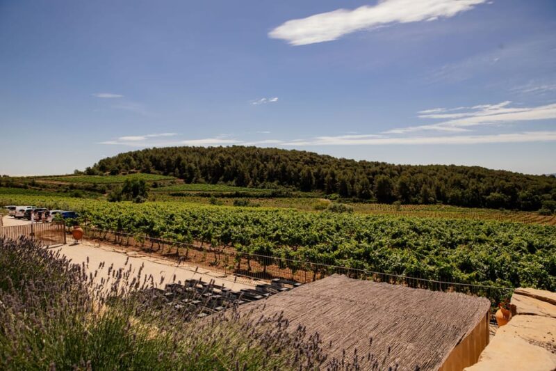 Barcelona: Penedès Horseback Riding + 2 Wine Tasting + Tapas - Customization Options