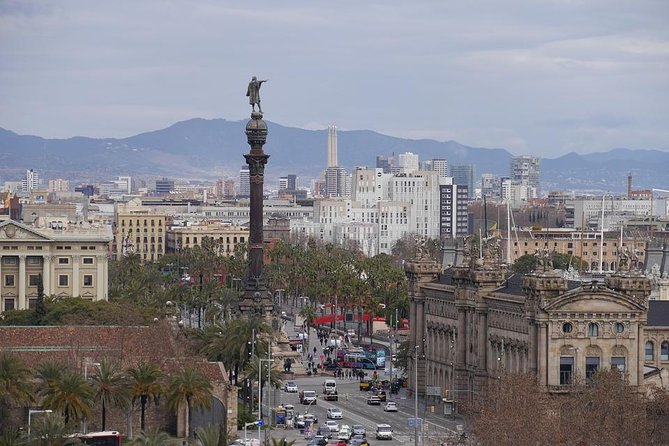 Barcelona Private 4 Hour Tour With Driver and Official Tour Guide - Private Vehicle and Chauffeur