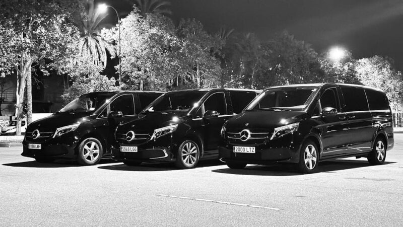 Barcelona: Private El Prat Airport Transfer Service - Vehicle and Driver Information