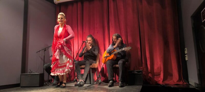Barcelona: Private Gothic Quarter Tour With Flamenco Show - Roman History and Architecture