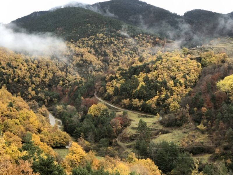 Barcelona: Private Guided Day Trip to Andorra With Pickup - Scenic Stops in the Andorran Pyrenees