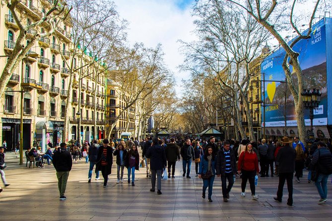 Barcelona Private Walking Tour Through the City of Gaudi - Accessibility Options