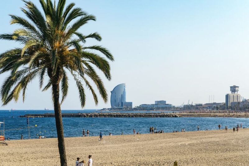 Barcelona: Sagrada Familia & City Sights Bike or E-Bike Tour - Key Points