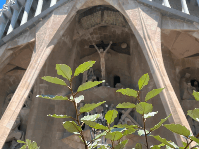 Barcelona: Sagrada Familia Gaudís Masterpiece Audio Guide - Self-Guided Audio Tour Highlights