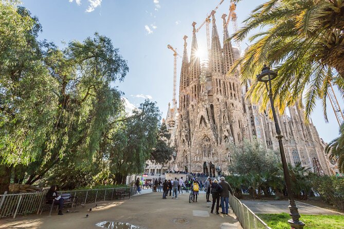 Barcelona: Sagrada Familia Guided Tour - Reviews and Feedback