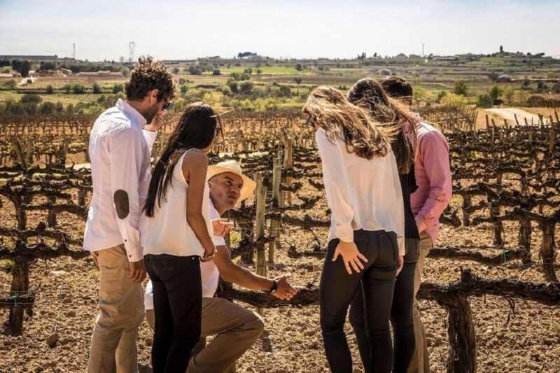 Barcelona: Sailing and Alella Winery Tour With Wine Tasting - Visit to Family Winery