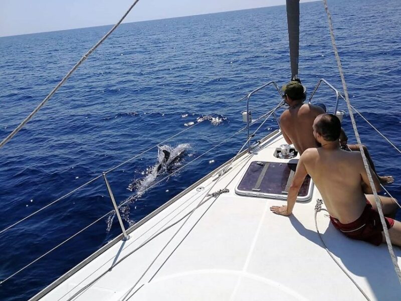 Barcelona: Sailing Trip With Drinks and Snacks - Itinerary and Experience