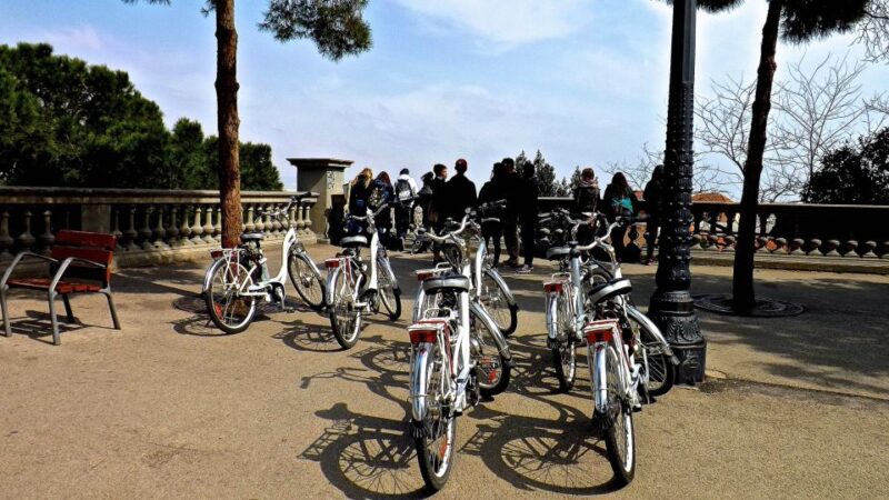 Barcelona: Small Group or Private Bike Tour - Tour Type and Pricing