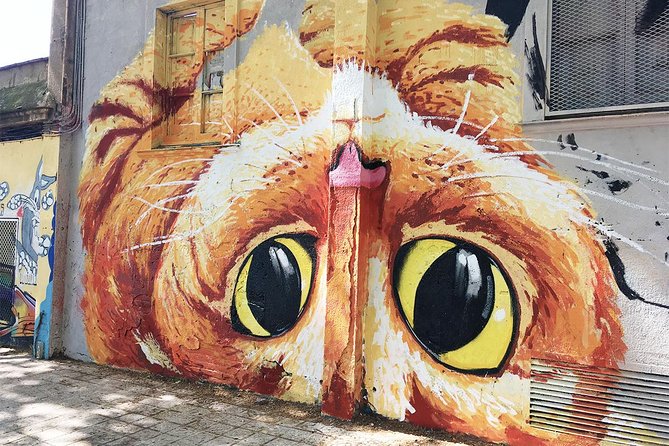 Barcelona Street Art Graffitti Bicycle Tour - Multilingual Guide
