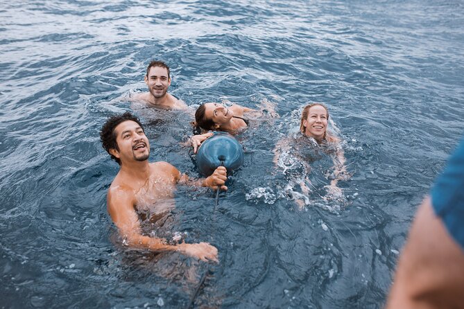 Barcelona Sunset Cruise With Open Bar of Cava & Local Champagne - Pricing and Availability