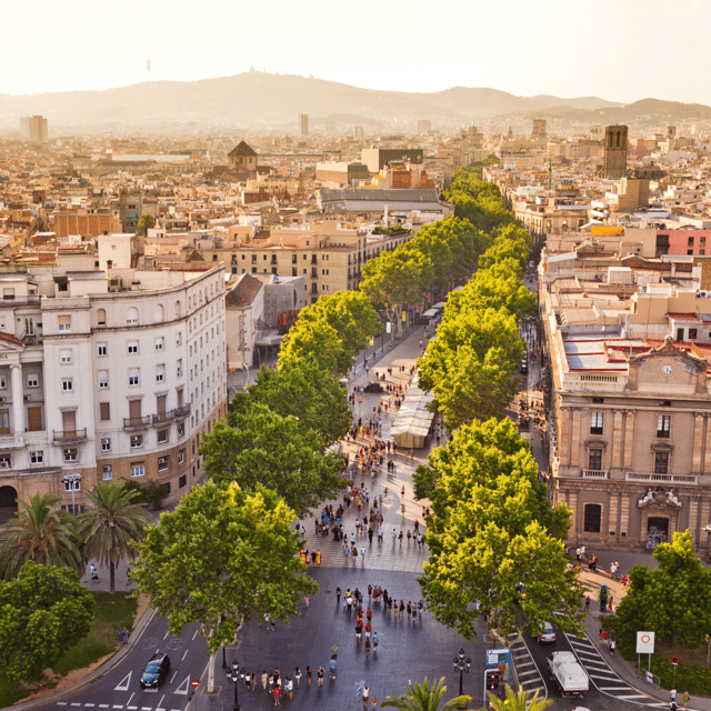 Barcelona: Walking Tour of the Gothic Quarter and Boat Ride - Inclusions